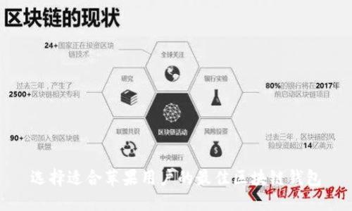 选择适合苹果用户的最佳区块链钱包