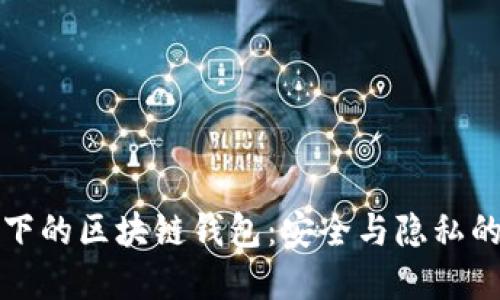 飞行模式下的区块链钱包：安全与隐私的完美结合