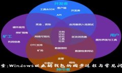 深入探索：Windows以太坊钱包的同步过程与常见问
