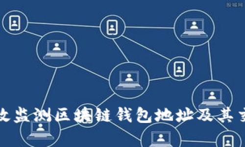 如何有效监测区块链钱包地址及其交易活动
