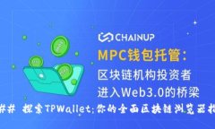 ### 探索TPWallet：你的全面区块链浏览器指南