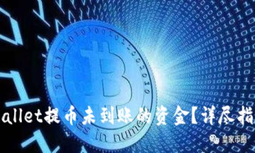 如何找回TPWallet提币未到账的资金？详尽指南与解决方案