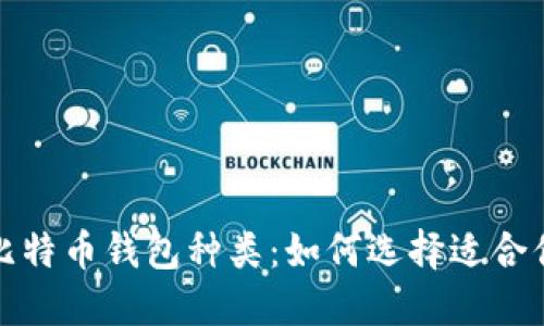 全方位解读比特币钱包种类：如何选择适合你的数字钱包