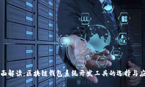 全面解读：区块链钱包系统开发工具的选择与应用