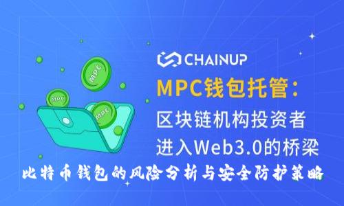 比特币钱包的风险分析与安全防护策略