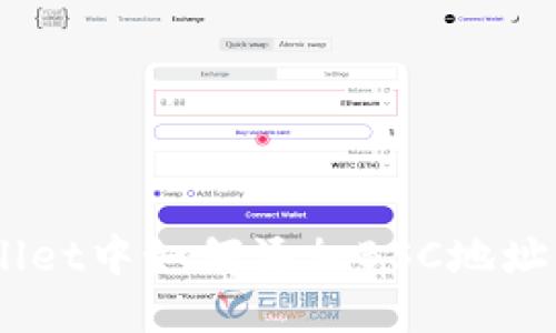 电脑版TP Wallet中如何添加BSC地址：详细使用指南